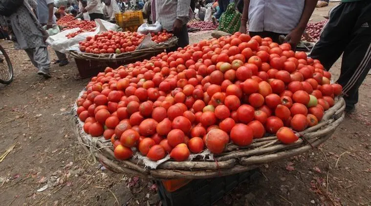 Farmers of tomato producers loss no price in market